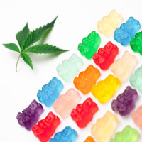 口コミで見極める通販で販売されるヴァイスシュヴァルツの状態